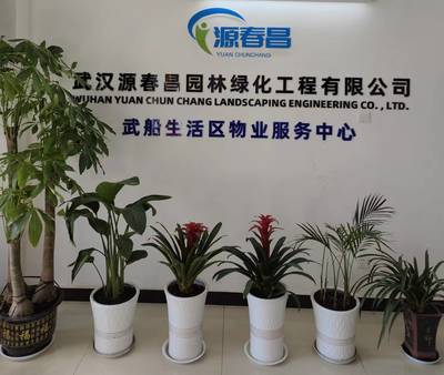 武汉源春昌园林绿化工程