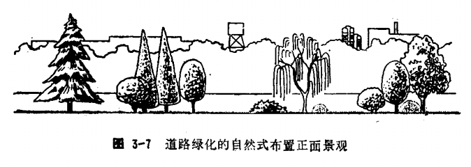 海口工厂行道树木栽植形式建议