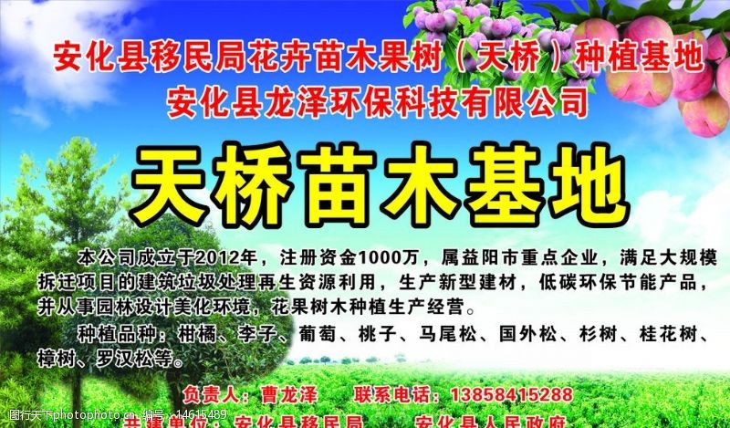 桃子李子图片图片素材